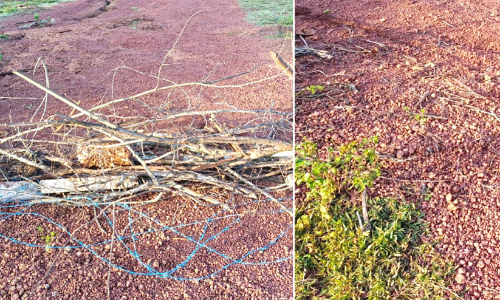 എസ്.എഫ്.ഐക്കാർ അടച്ച വഴി നാട്ടുകാർ പുനഃസ്ഥാപിച്ചു