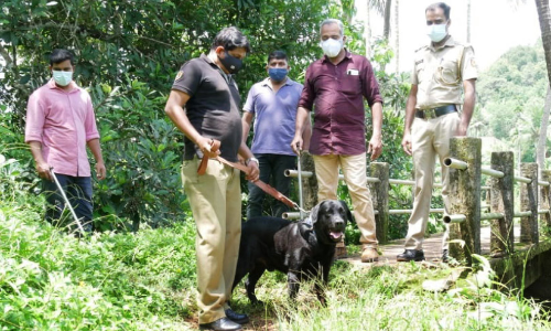 bomb case-dog squad inspection