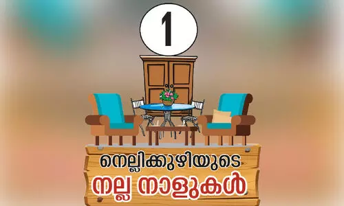തടിയിൽ ജീവിതം കൊത്തിയ നാട്, നെ​ല്ലി​ക്കു​ഴി​യു​ടെ ന​ല്ല​നാ​ളു​ക​ൾ