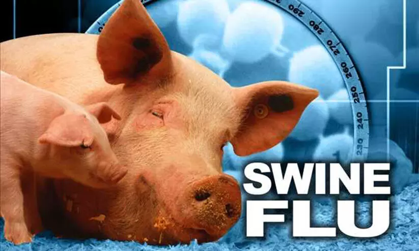 പന്നിപ്പനി: വളർത്തുമൃഗങ്ങളിലും മനുഷ്യരിലും പടരുമെന്ന്​​ ആശങ്ക