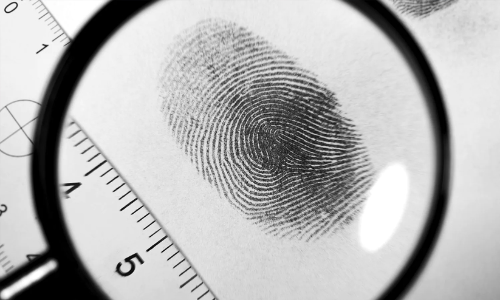 Fingerprint