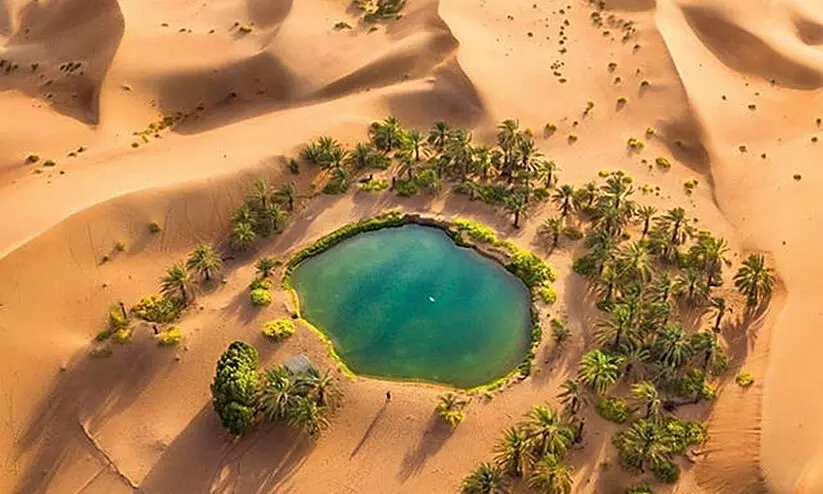 മരുഭൂമിയിലെ മരുപ്പച്ചകൾ മരുഭൂമിയിലെ മരുപ്പച്ചകൾ