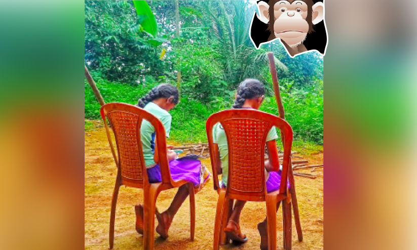 കുരങ്ങൻമാരുടെ കുറുമ്പ് കൂടുന്നു... പഠിക്കാനിരിക്കുന്ന കുട്ടികളെ ആട്ടിപ്പായിച്ച് വാനരപ്പട കുരങ്ങൻമാരുടെ കുറുമ്പ് കൂടുന്നു... പഠിക്കാനിരിക്കുന്ന കുട്ടികളെ ആട്ടിപ്പായിച്ച് വാനരപ്പട