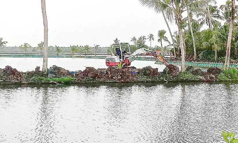 മത്സ്യകൃഷിക്ക്​ വഴിമാറി; പാടശേഖരങ്ങളിൽ നെൽകൃഷിയില്ല