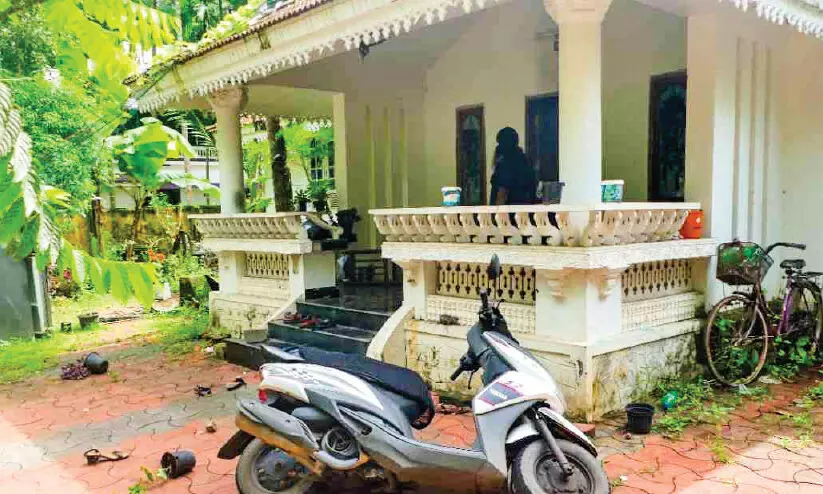 dyfi attack dyfi attack