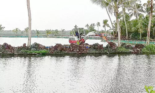 മത്സ്യകൃഷിക്ക്​ വഴിമാറി; പാടശേഖരങ്ങളിൽ നെൽകൃഷിയില്ല