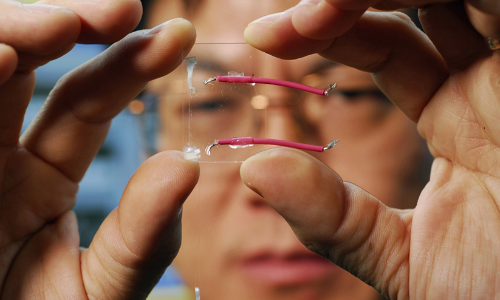 നാനോ സയൻസ് ആൻറ്​ നാനോ ടെക്‌നോളജി: ഉന്നതപഠനത്തിന് അവസരമൊരുക്കി എം.ജി