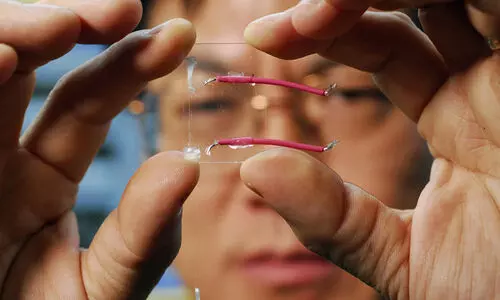 നാനോ സയൻസ് ആൻറ്​ നാനോ ടെക്‌നോളജി: ഉന്നതപഠനത്തിന് അവസരമൊരുക്കി എം.ജി