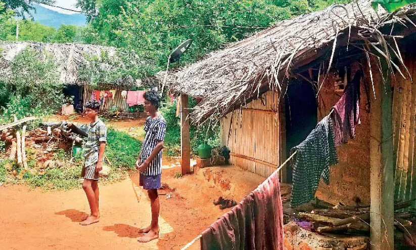 chudukattuvara colony