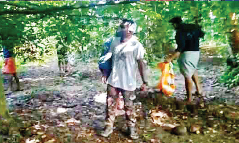 കുടുംബത്തിനൊന്നടങ്കം കോവിഡ്; ജാതിക്ക ശേഖരണം ഏറ്റെടുത്ത് യുവജന കൂട്ടായ്മ കുടുംബത്തിനൊന്നടങ്കം കോവിഡ്; ജാതിക്ക ശേഖരണം ഏറ്റെടുത്ത് യുവജന കൂട്ടായ്മ