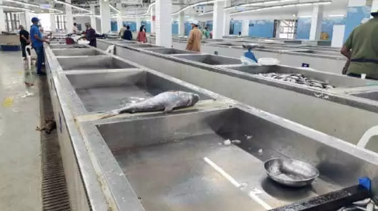 ചൂട്​ കനത്തതോടെ മത്സ്യക്ഷാമം രൂക്ഷമായി