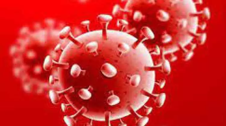 കോവിഡ് ഡെൽറ്റ വകഭേദം വ്യാപിക്കുന്നതായി സംശയം കോവിഡ് ഡെൽറ്റ വകഭേദം വ്യാപിക്കുന്നതായി സംശയം