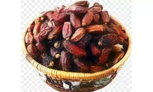 യു.എ.ഇയിൽ ഈത്തപ്പഴ വിളവെടുപ്പ് ഉത്സവം