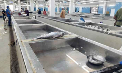 ചൂട്​ കനത്തതോടെ മത്സ്യക്ഷാമം രൂക്ഷമായി