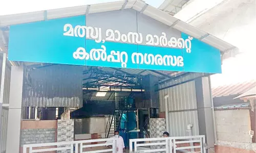 kalpetta fish market kalpetta fish market