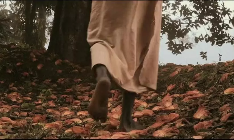 ഇന്നും നോവായി മധു; സ്മരണാഞ്ജലിയായി മുറിവ് ഇന്നും നോവായി മധു; സ്മരണാഞ്ജലിയായി മുറിവ്