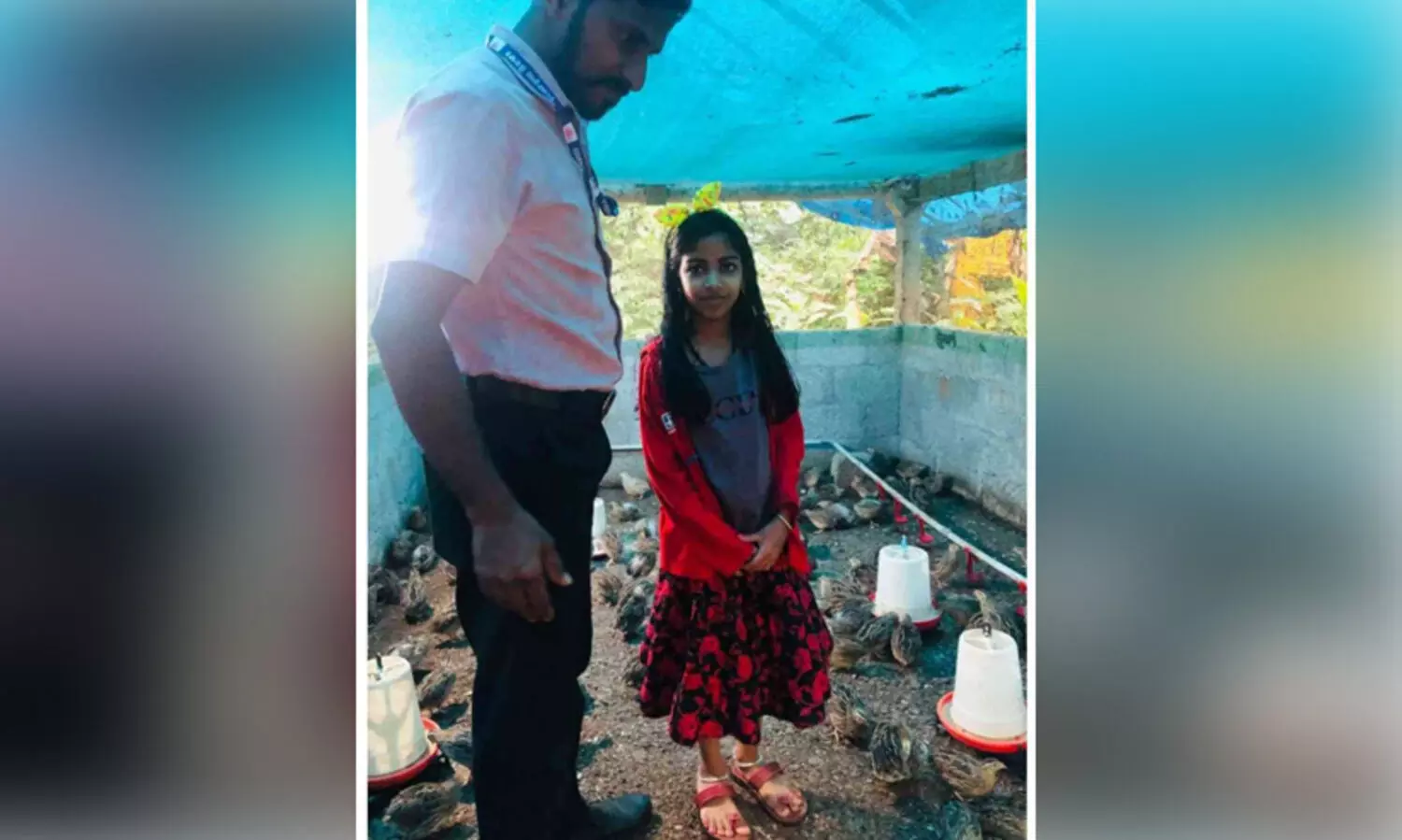 പഠനത്തോടൊപ്പം വരുമാനമാർഗവും; അഞ്ജനക്ക് കുട്ടികളിയല്ല കാട കൃഷി