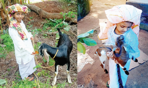 pathumma and goat