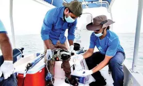 മത്സ്യങ്ങൾ ചത്തുപൊങ്ങുന്നു: പരിസ്​ഥിതി മന്ത്രാലയം രണ്ടാം ഘട്ട സർവേ തുടങ്ങി