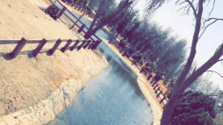 പ്ര​കൃ​തി വൈ​വി​ധ്യ​ത്തി​െൻറ വ​ശ്യ​ത: വേനൽക്കാല സഞ്ചാരികളെ ആകർഷിക്കുന്നതിൽ ഒന്നാം സ്ഥാനത്ത്​ അൽഅഹ്​സ