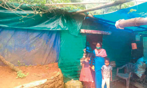 karimb colony natives