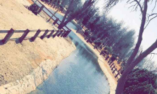 പ്ര​കൃ​തി വൈ​വി​ധ്യ​ത്തി​െൻറ വ​ശ്യ​ത: വേനൽക്കാല സഞ്ചാരികളെ ആകർഷിക്കുന്നതിൽ ഒന്നാം സ്ഥാനത്ത്​ അൽഅഹ്​സ