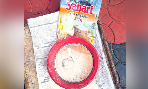 dead rat in ration kit