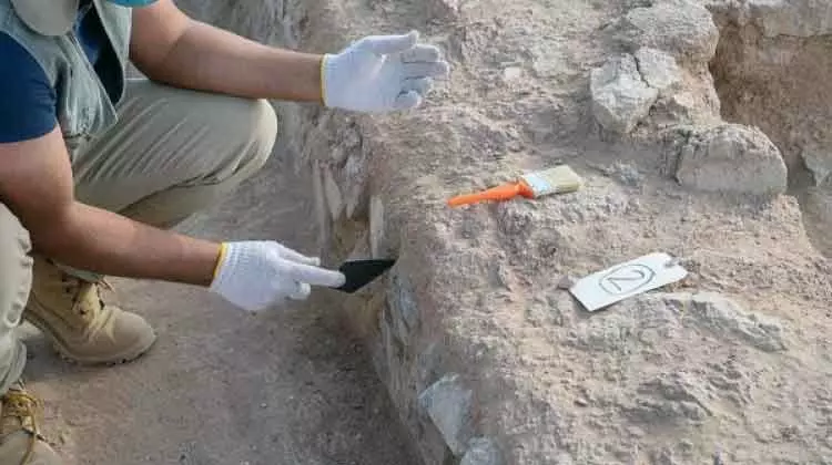 അൽഖസീം മേഖലയിൽ പുരാവസ്തു ഉദ്ഖനനം ആരംഭിച്ചു അൽഖസീം മേഖലയിൽ പുരാവസ്തു ഉദ്ഖനനം ആരംഭിച്ചു