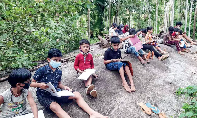 no network for online study