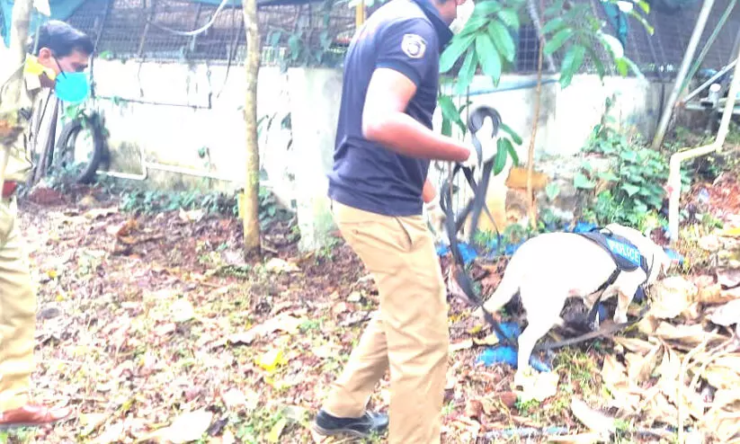 police investigation on theft case police investigation on theft case