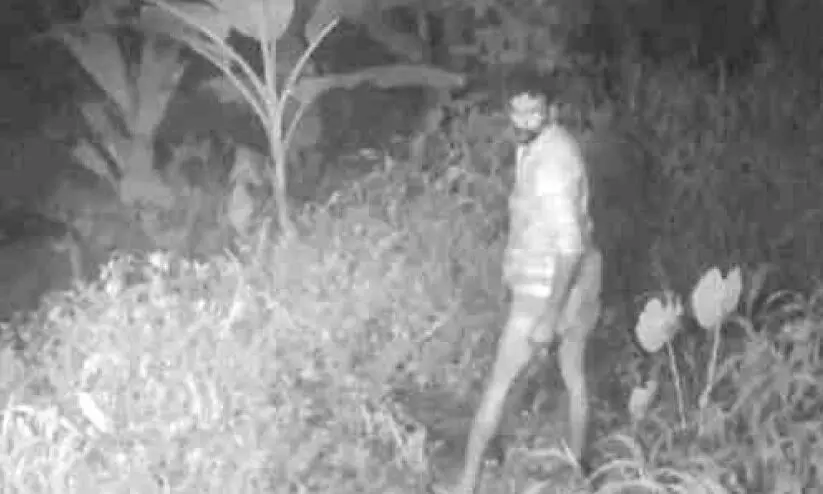 thief in womens hostal thief in womens hostal