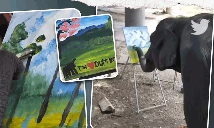 elephant 8721 elephant 8721