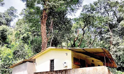 അം​ഗ​ൻ​വാ​ടി​ക്ക് മു​ക​ളി​ൽ അ​പ​ക​ട ഭീ​ഷ​ണി​യാ​യി   വ​ൻ​മ​രം; ഭീ​തി​യി​ൽ ആ​ദി​വാ​സി കു​ടും​ബ​ങ്ങ​ൾ