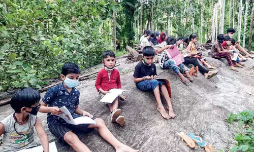 no network for online study