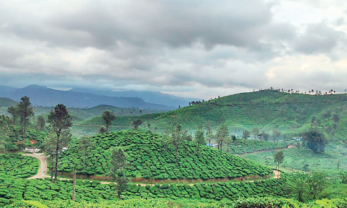 nelliyambathy view nelliyambathy view