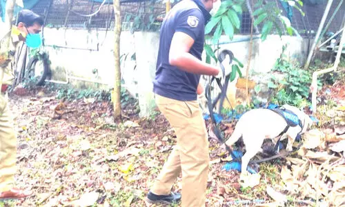 police investigation on theft case