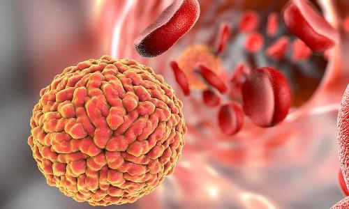 കേരളത്തിൽ സിക വൈറസ് ബാധ സ്ഥിരീകരിച്ചു