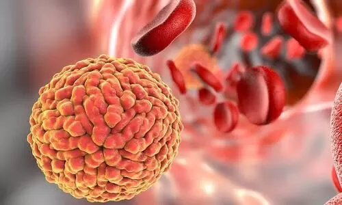 സംസ്ഥാനത്ത് മൂന്ന് പേർക്ക് കൂടി സിക വൈറസ് സംസ്ഥാനത്ത് മൂന്ന് പേർക്ക് കൂടി സിക വൈറസ്