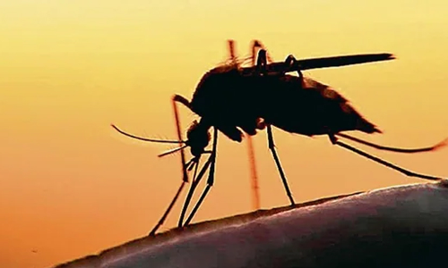 എന്താണ്​ സിക വൈറസ്​‍? ല​ക്ഷ​ണ​ങ്ങ​ൾ