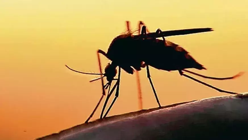 എന്താണ്​ സിക വൈറസ്​‍? ല​ക്ഷ​ണ​ങ്ങ​ൾ