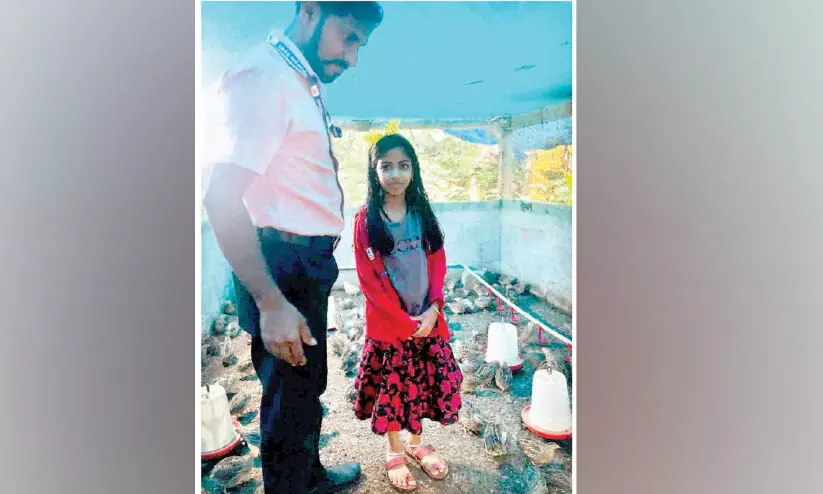 അഞ്ജനക്ക് കാട കൃഷി കുട്ടിക്കളിയല്ല