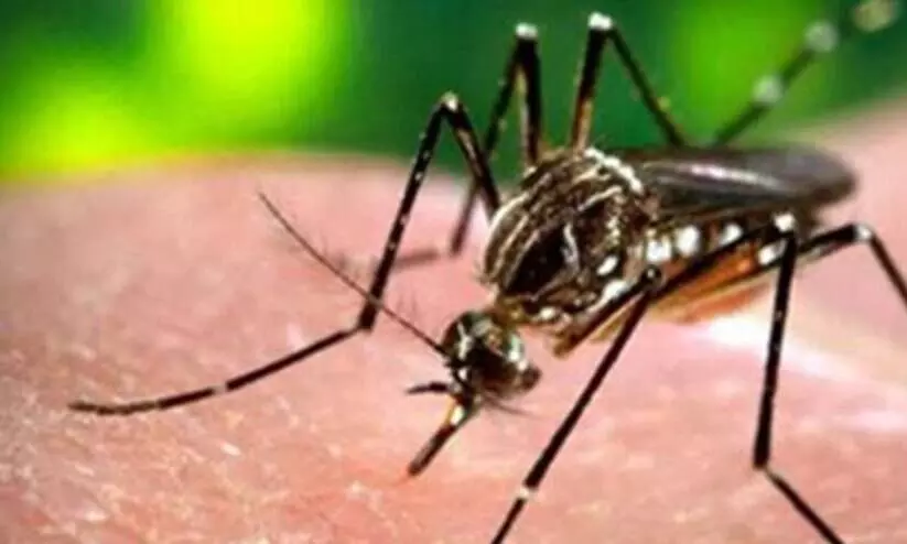 സിക്ക വൈറസ് പ്രതിരോധം: ആക്ഷന് പ്ലാന് രൂപീകരിച്ചു സിക്ക വൈറസ് പ്രതിരോധം: ആക്ഷന് പ്ലാന് രൂപീകരിച്ചു