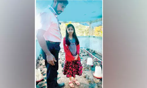 അഞ്ജനക്ക് കാട കൃഷി കുട്ടിക്കളിയല്ല അഞ്ജനക്ക് കാട കൃഷി കുട്ടിക്കളിയല്ല