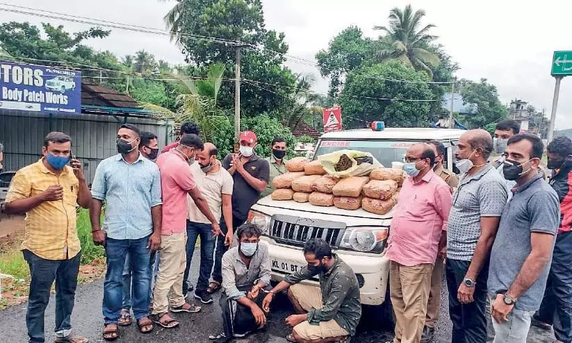 ലോറിയിൽ ചെടികളുടെ മറവിൽ കടത്തിയ 51 കിലോ കഞ്ചാവ് പിടികൂടി ലോറിയിൽ ചെടികളുടെ മറവിൽ കടത്തിയ 51 കിലോ കഞ്ചാവ് പിടികൂടി