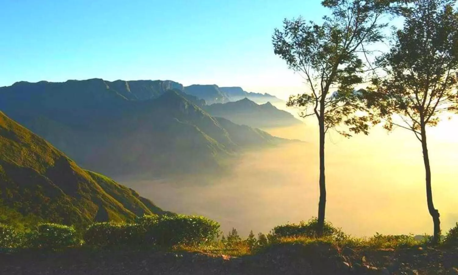 Kolukkumalai: The Highest Tea Plantation in The World