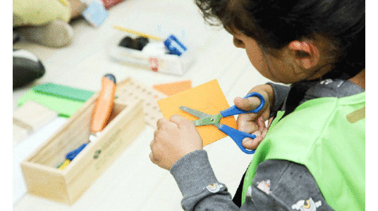 വിദ്യാർഥികൾക്കായി അൽഐൻ മൃഗശാലയുടെ സൗജന്യ വെർച്വൽ ക്യാമ്പ്