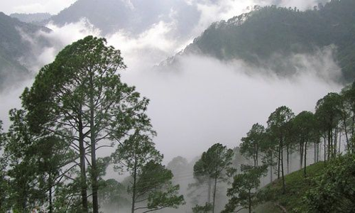 വിനോദസഞ്ചാര കേന്ദ്രങ്ങളിൽ നിയന്ത്രണം ശക്​തമാക്കുന്നു; മസൂറിയിൽ കോവിഡ്​ നെഗറ്റീവ്​ സർട്ടിഫിക്കറ്റ്​ നിർബന്ധം