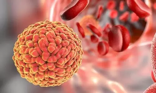 zika virus zika virus