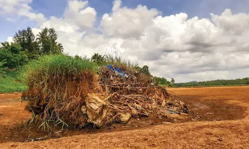 no water in bharatha puzha