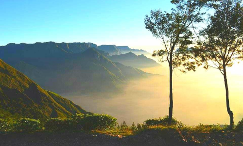 Kolukkumalai: The Highest Tea Plantation in The World